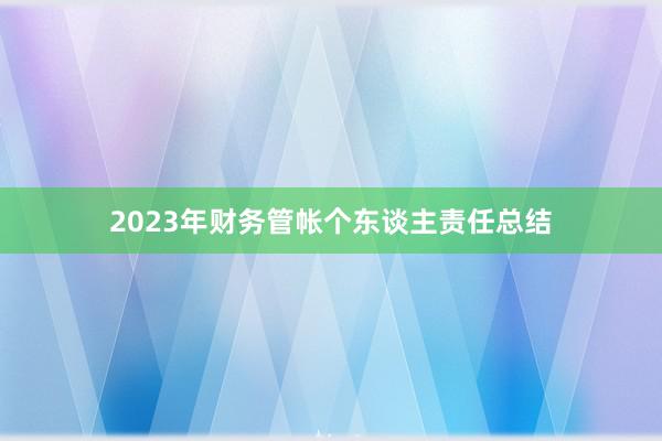 2023年财务管帐个东谈主责任总结