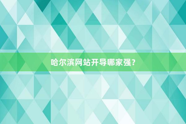 哈尔滨网站开导哪家强？