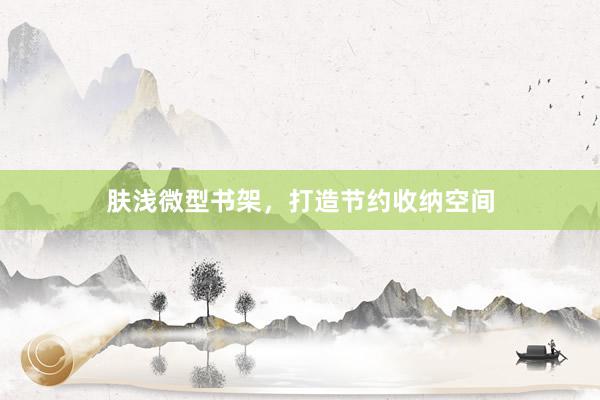 肤浅微型书架，打造节约收纳空间